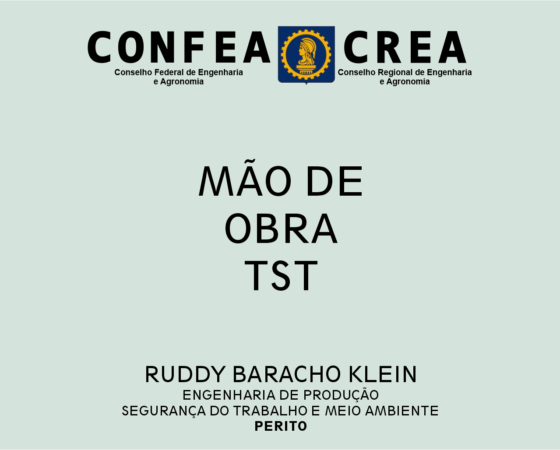 Mão de Obra TST
